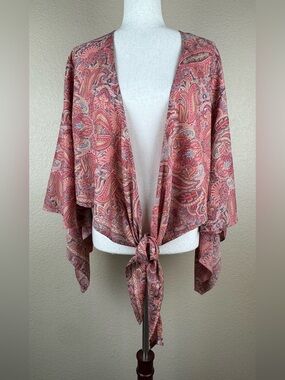 Ishka tie front crop top. Handkerchief sleeves. Paisley print. Size Large. NWT
